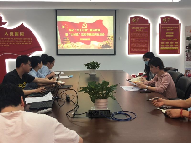 公司第一黨支部召開深化“三個以案”警示教育暨“大討論”活動專題組織生活會