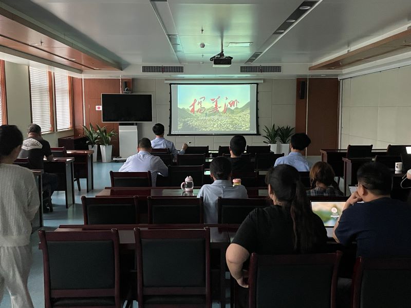 皖投置業(yè)公司組織開展黨史學習教育專題觀影活動