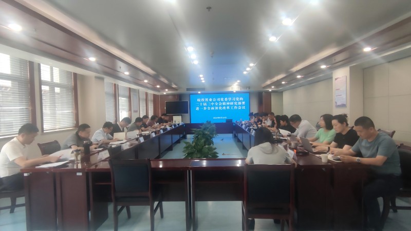 學(xué)習(xí)貫徹黨的二十屆三中全會(huì)精神丨皖投置業(yè)公司召開(kāi)全面深化改革工作會(huì)議